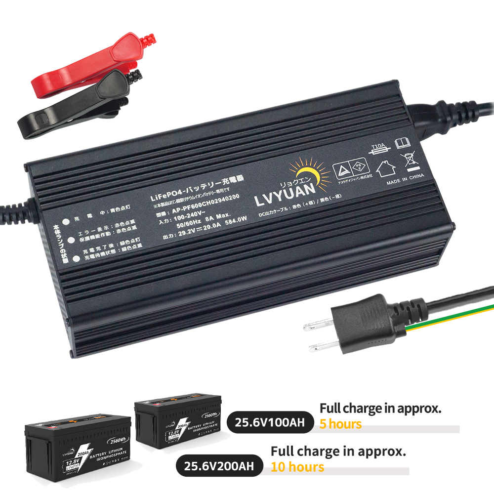 Lvyuan 500W 220V AC naar DC 12 - Lithium Battery 12V recensie en prijs